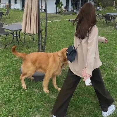 马失前蹄